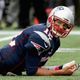 Illustration for article titled Is Tom Brady A Fancy Dog?